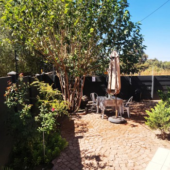 Patio Garden